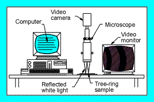 components of reflected-light image analysis system
